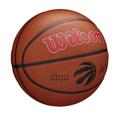 Wilson Nba Alnce Bskt 99