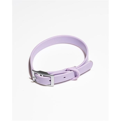 Wild One Dog Collar
