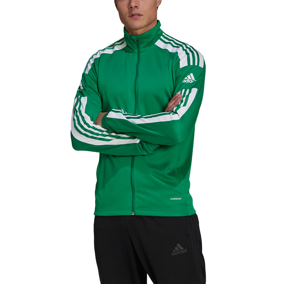 Men's adidas Squadra 21 Training green GP6462