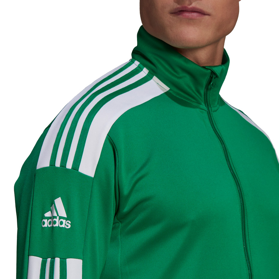 Men's adidas Squadra 21 Training green GP6462