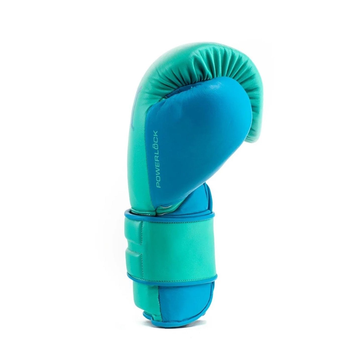 Everlast Powerlock2 Pro Hook & Loop