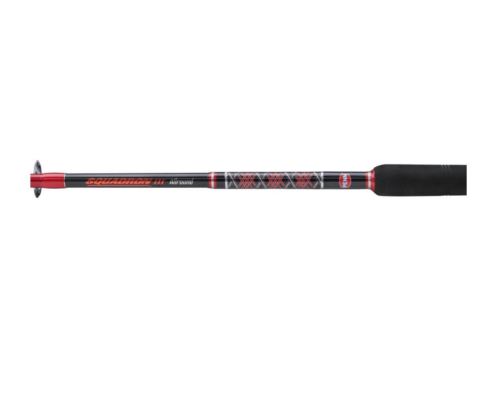 Lanseta PENN 2BUC SQUADRON III ALLROUND SPIN 3,0M 100-300G PURE FISHING