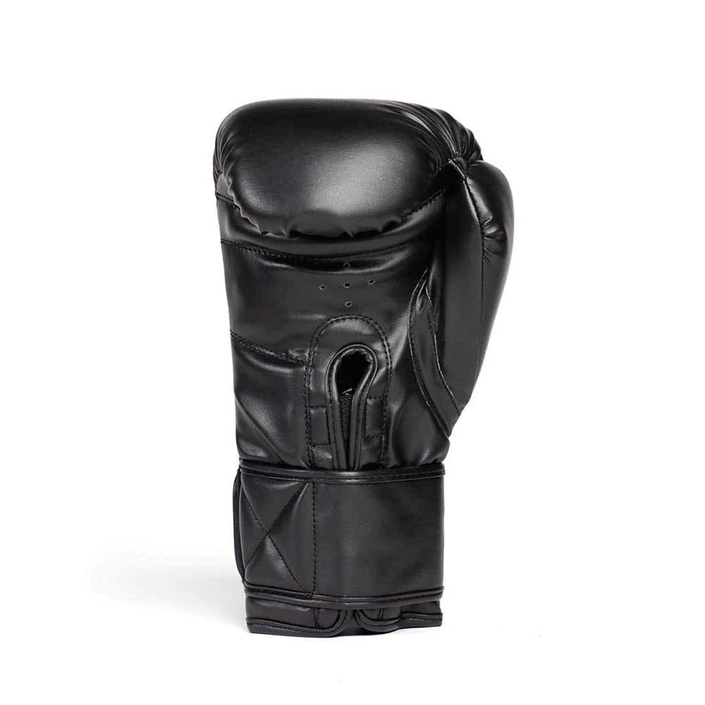 Manusa box Everlast 1910 Classic Boxing
