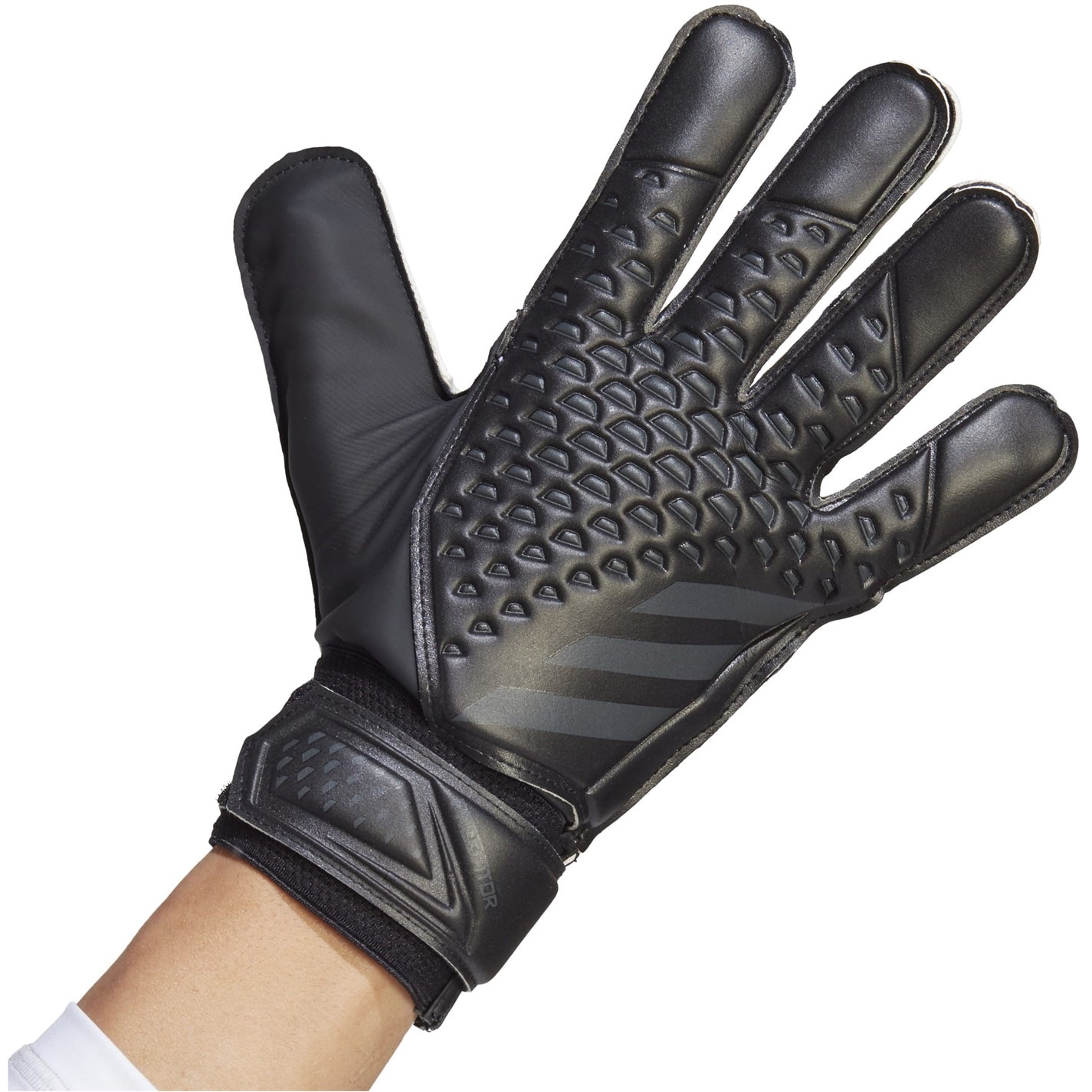Manusa Portar adidas Predator Training adulti