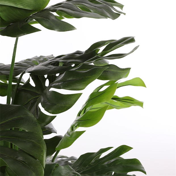 Mica Monstera in pot green