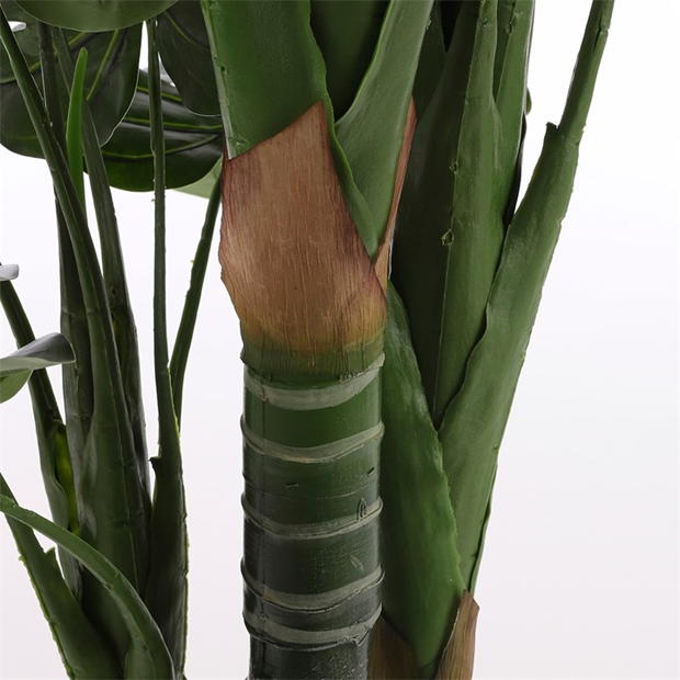 Mica Monstera in pot green