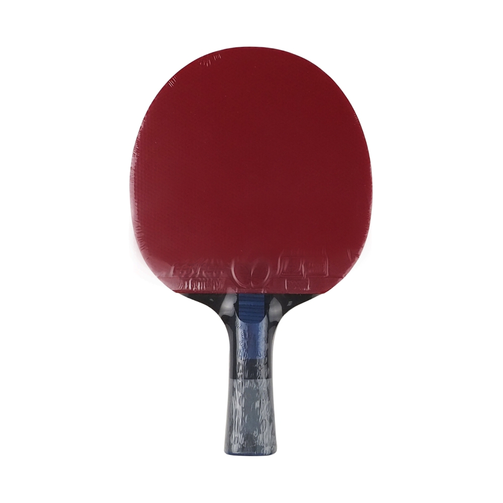 Ping pong racket Butterfly Dang Qiu DQX2