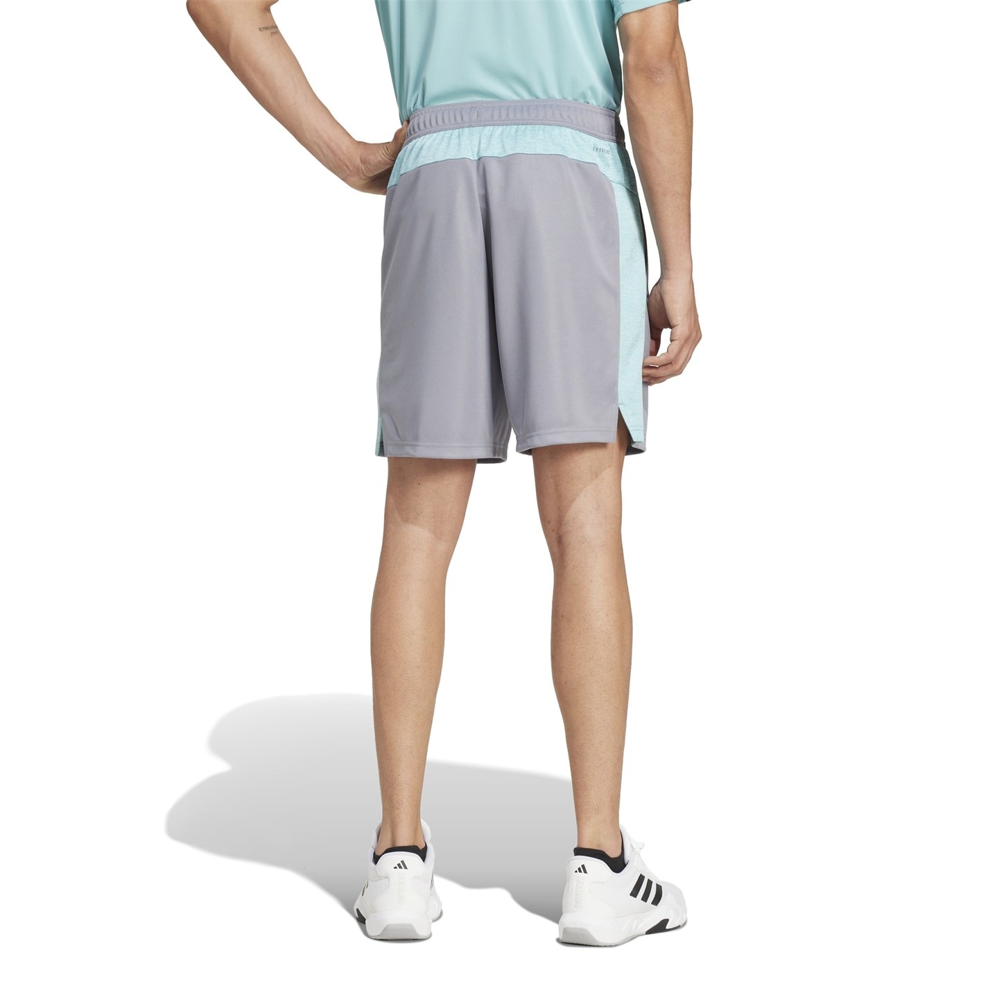 Pantalon scurt Combat adidas All Set Training
