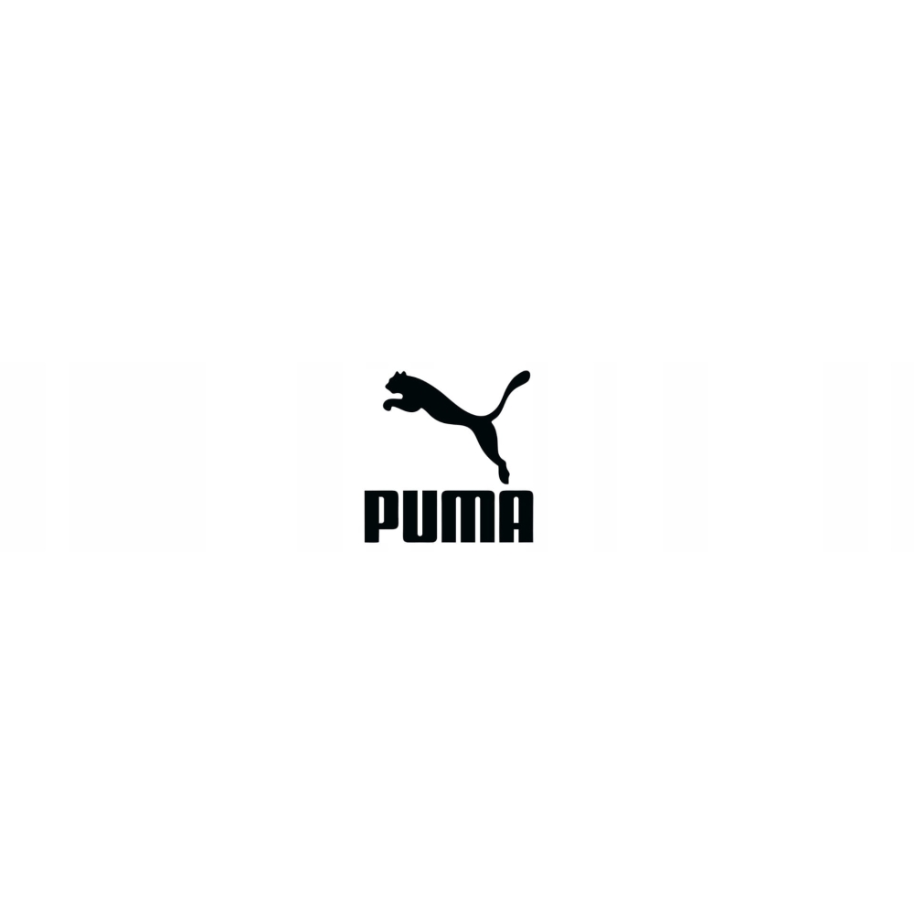 Papuci de Casa PUMA DIVECAT v2 LITE sports size 40.5 pentru Barbati