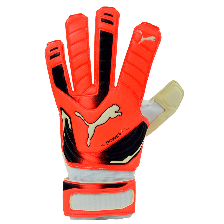 Manusa box GOVERNMENT PUMA EVO POWER GRIP 2 RC 40998 30
