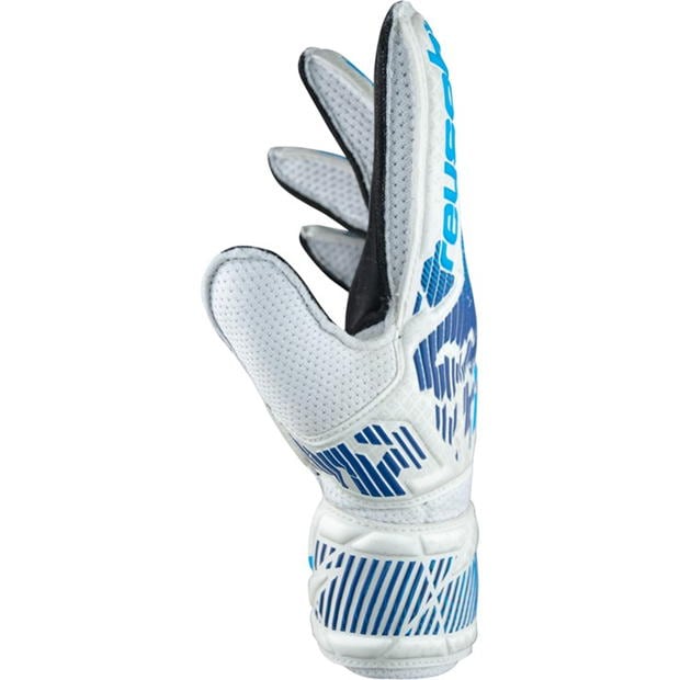 Reusch Attrakt Solid Ch99