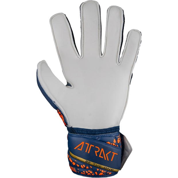 Reusch Attrakt Solid Ch99