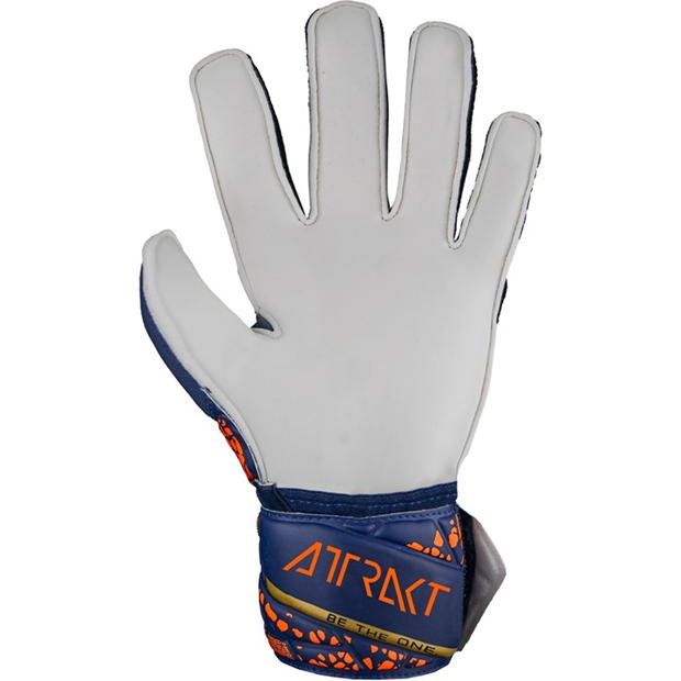 Reusch Attrakt Solid Ch99