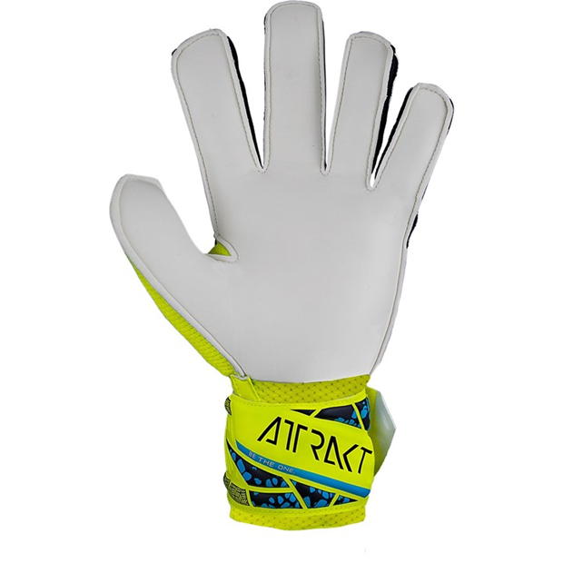 Reusch Attrakt Solid Ch99