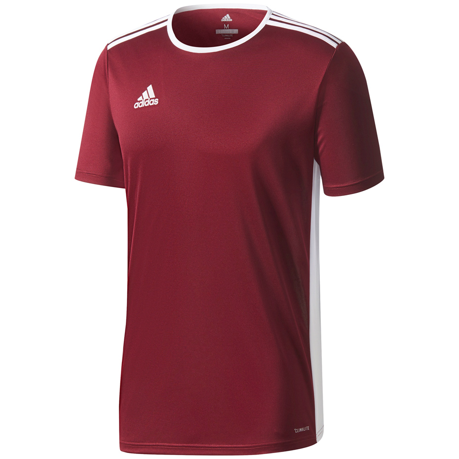 Camasa T- adidas ENTRADA 18 JR maroon CD8430