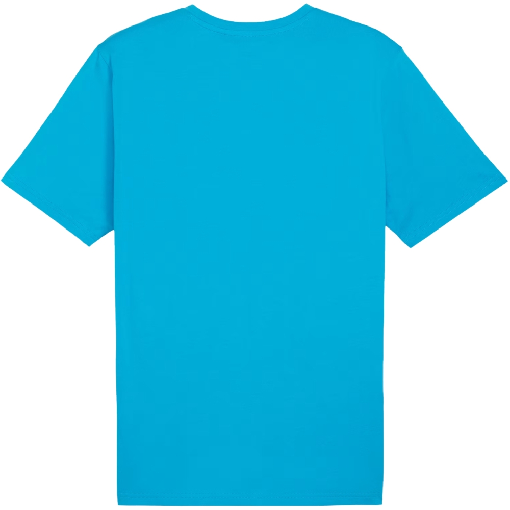 Camasa Men's T- Puma Team Rise Logo Jersey Cotton light blue 658705 02