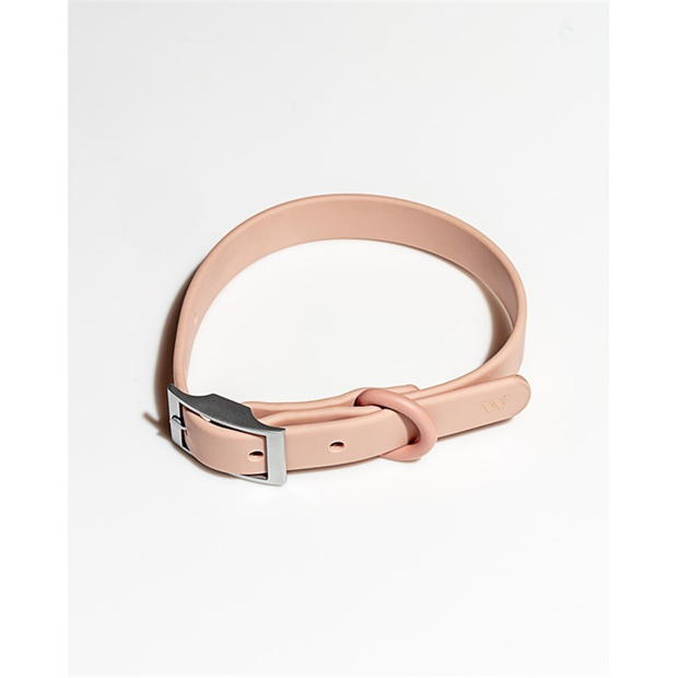 Wild One Dog Collar